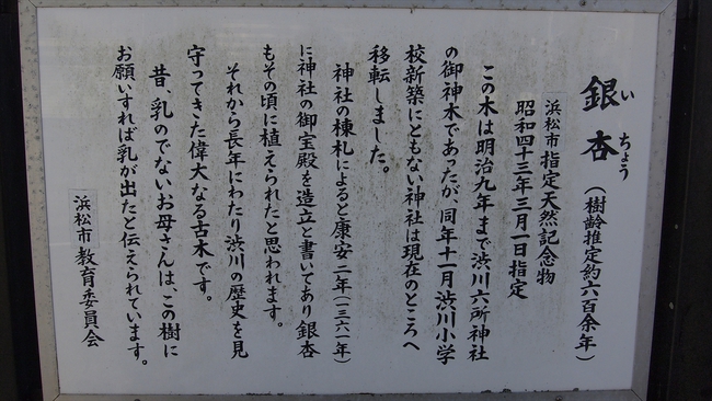 てんてんゴーしぶ川　施設及び周辺紹介