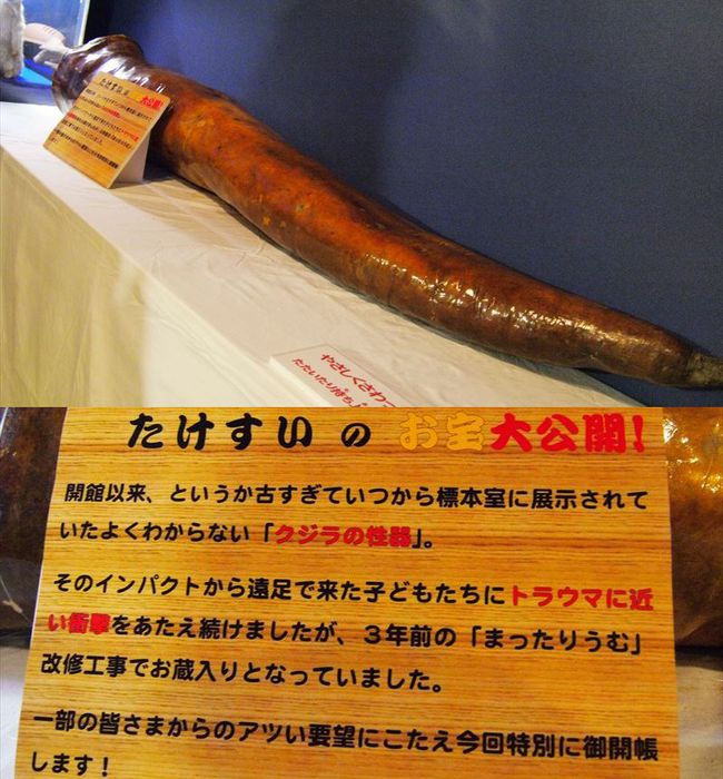 竹島の画像