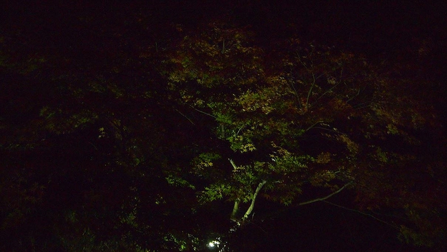 晩秋の関ヶ原でファミキャン…その4