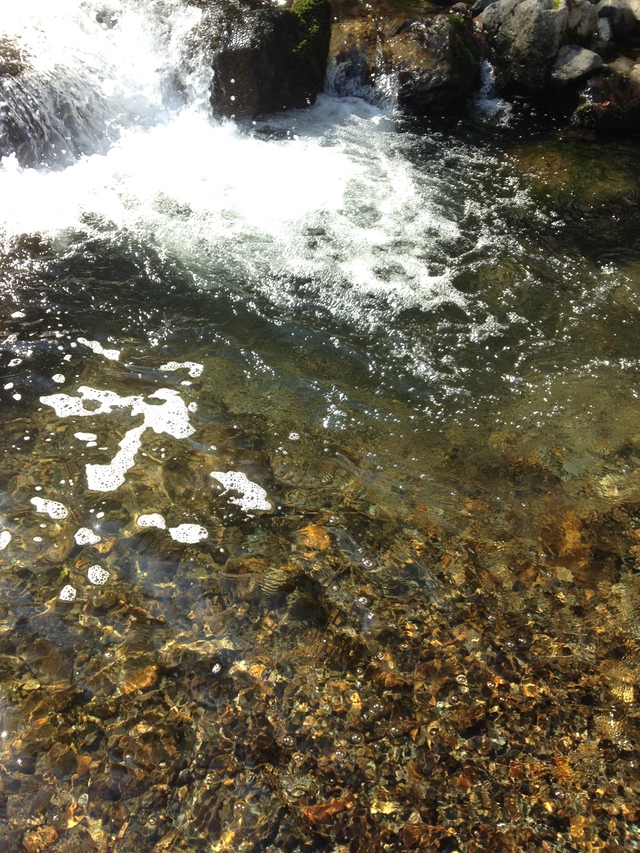 晴天の岩魚釣り日和