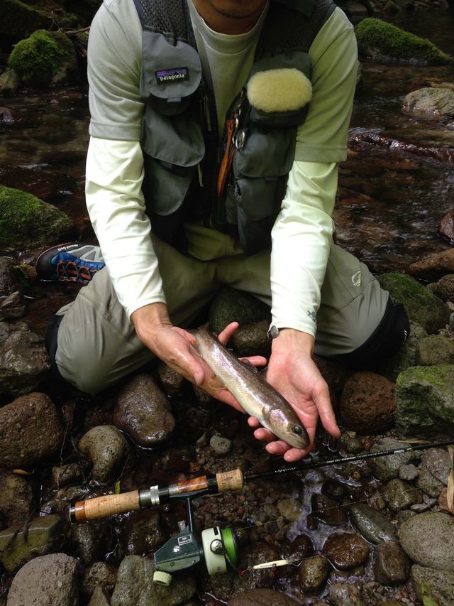 kousakuさんと大山岩魚釣行