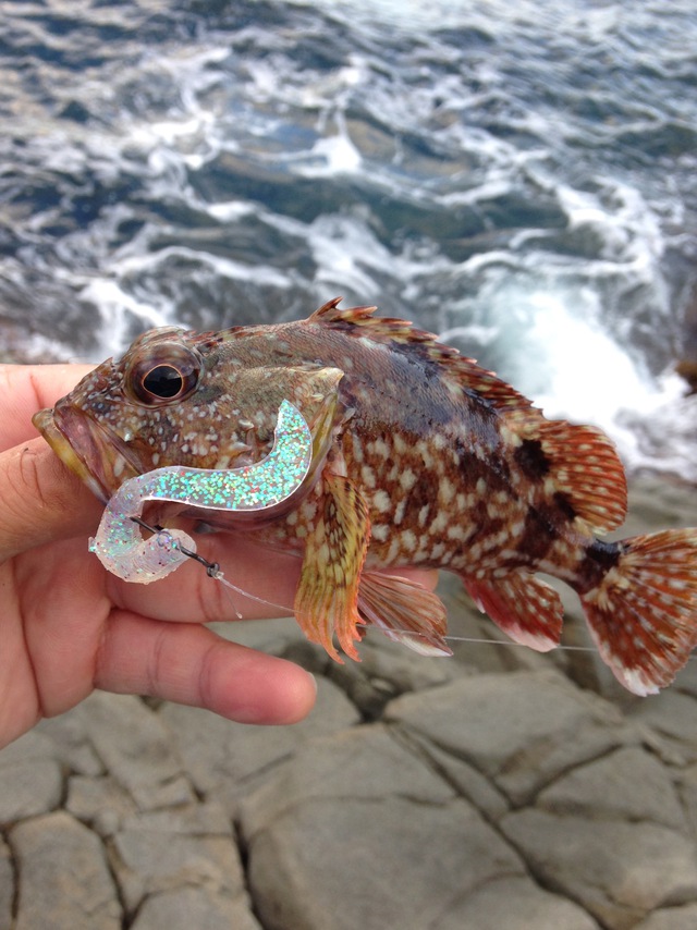 2デイズ釣行 〜日本海デイハードロック〜