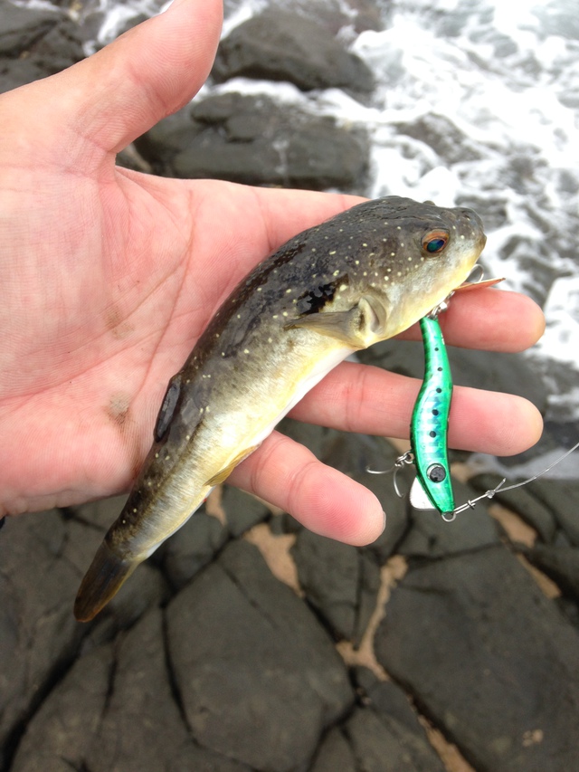 2デイズ釣行 〜日本海デイハードロック〜