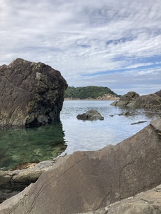 山陰弾丸釣行　アコウ・タチウオ