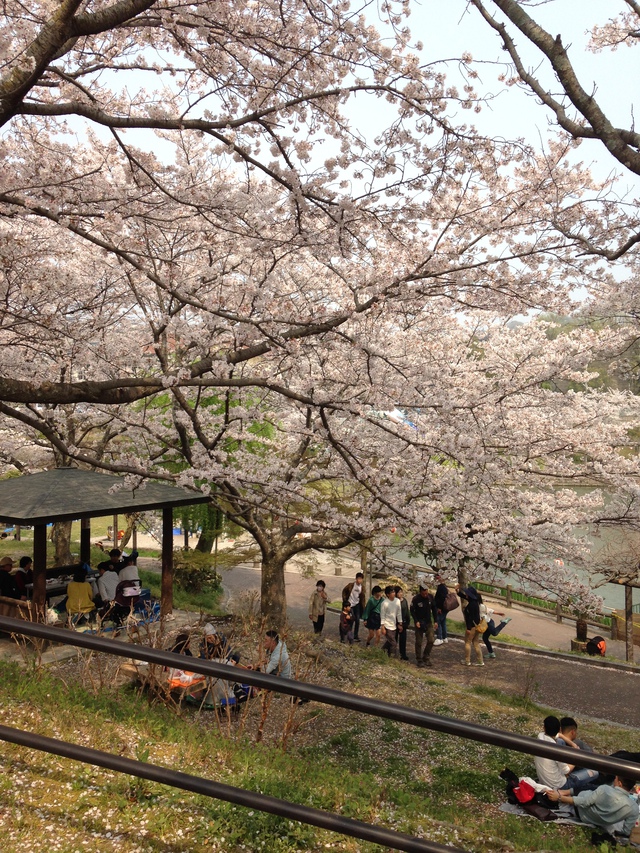 青目寺 開帳法要