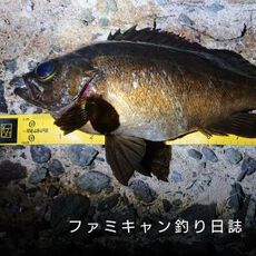 メバリングでオススメのワーム
