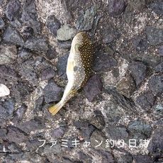 ボーズを恐れない勇者のマイポイント