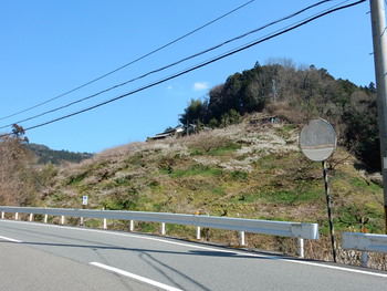 広橋梅林