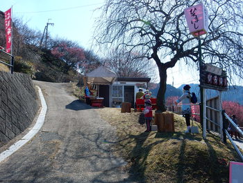 広橋梅林