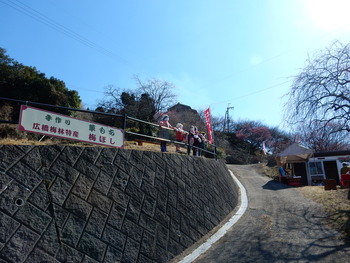 広橋梅林