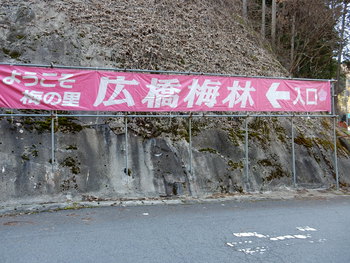 広橋梅林