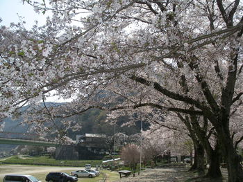 笠置キャンプ場⑧