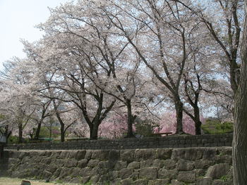笠置キャンプ場⑧