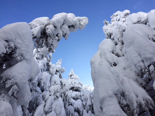 マイナス23度の極寒雪山テント泊で西天狗！