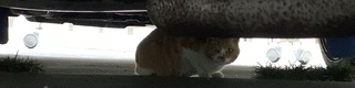 画像アップロード