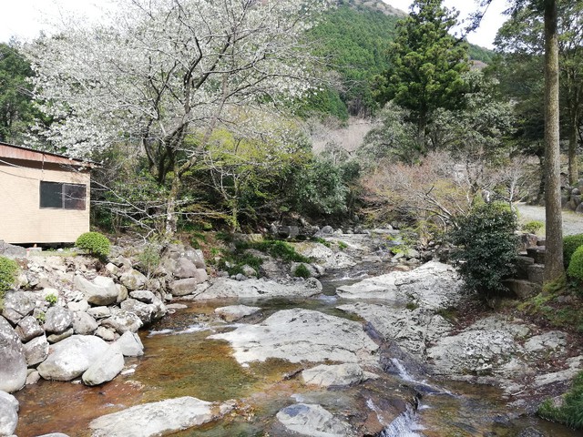 春の嵐をアメドとペンタシールドで過したソロキャンプ〜黒木民宿キャンプ場（長崎県大村市）〜