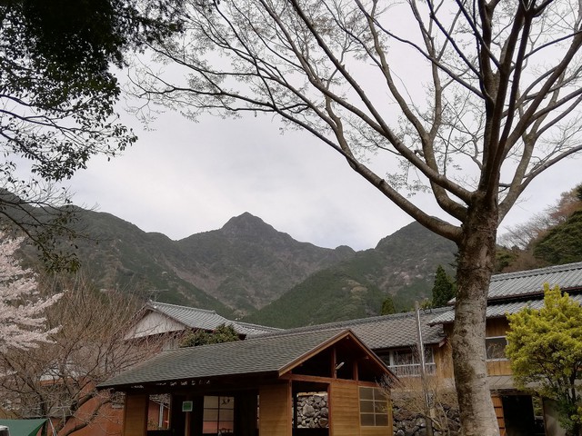 春の嵐をアメドとペンタシールドで過したソロキャンプ〜黒木民宿キャンプ場（長崎県大村市）〜