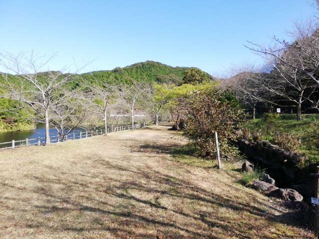 伊佐ノ浦公園キャンプ場（長崎県西海市）でソロキャンプ