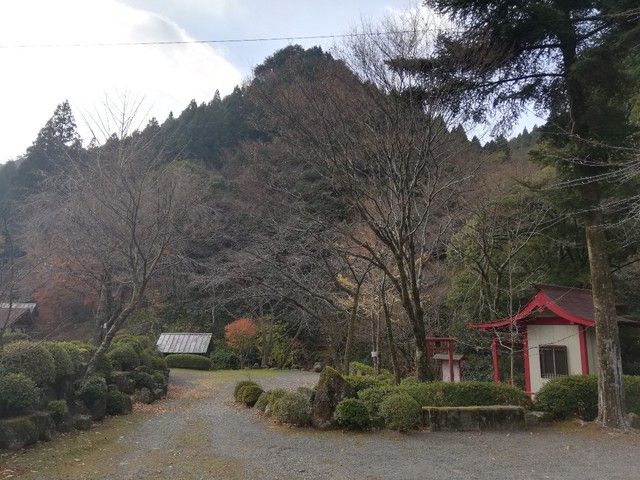 紅葉の名残りを惜しむソロキャンプ〜黒木民宿キャンプ場（長崎県大村市）〜