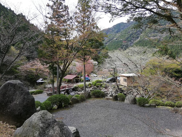 春の嵐をアメドとペンタシールドで過したソロキャンプ〜黒木民宿キャンプ場（長崎県大村市）〜