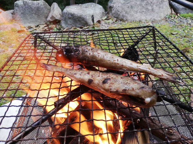 春の嵐をアメドとペンタシールドで過したソロキャンプ〜黒木民宿キャンプ場（長崎県大村市）〜