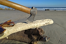 海辺の斧とハンモック♪