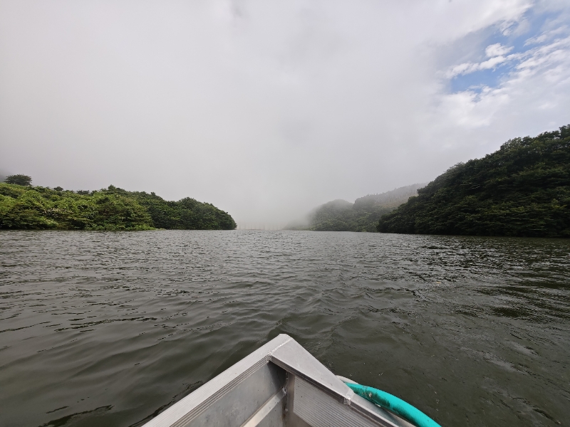 ダム湖を遡上して