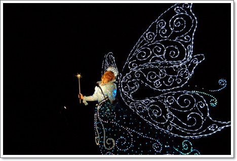 雪の東京ディズニーリゾートde記念日【TDL満喫編】