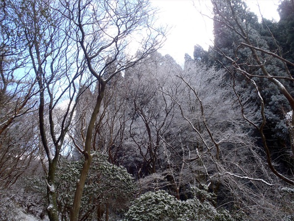 2015年初登りin六甲山