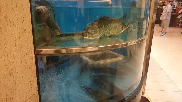 上海出張。。。　2日目の食事編