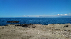今日は江ノ島 2016/07/30 12:38:45