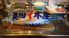 カツオ！！ 2019/06/25 11:45:00