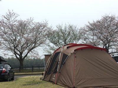 こんな時間で設営完了