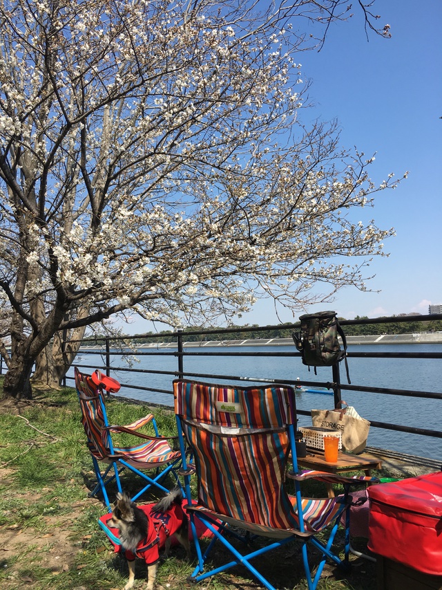 大阪BBQ可公園・泉北臨海緑地