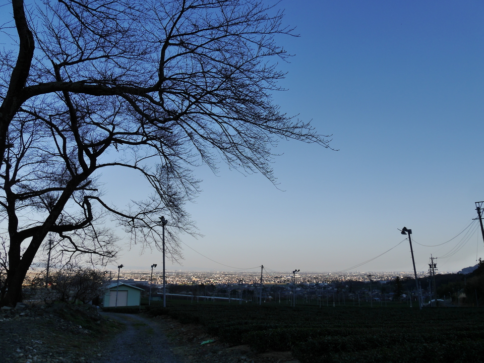 忘れられないソロキャンプの想い出【大津谷公園キャンプ場】