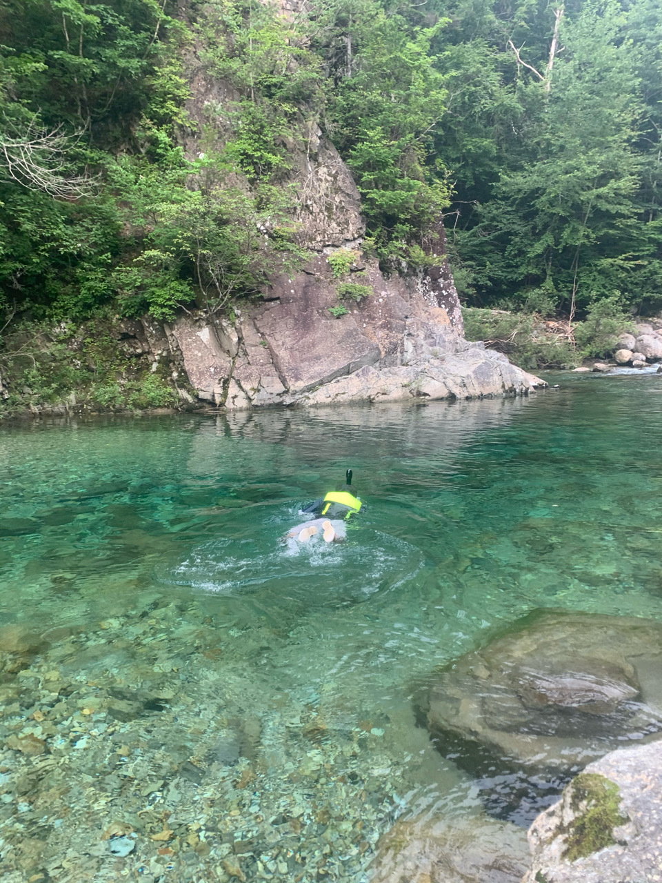 魅せられたあの森に会いに行く①【おんたけ森きちオートキャンプ場】