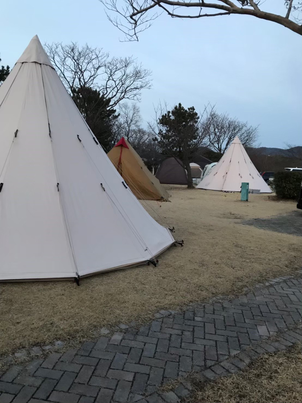 牡蠣を食べに赤穂へ行こう 赤穂海浜公園オートキャンプ場 Campハマりの備忘録