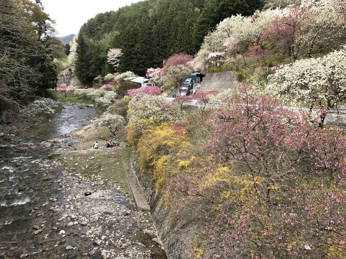 陣馬形山キャンプ場　ゴールデンウィーク