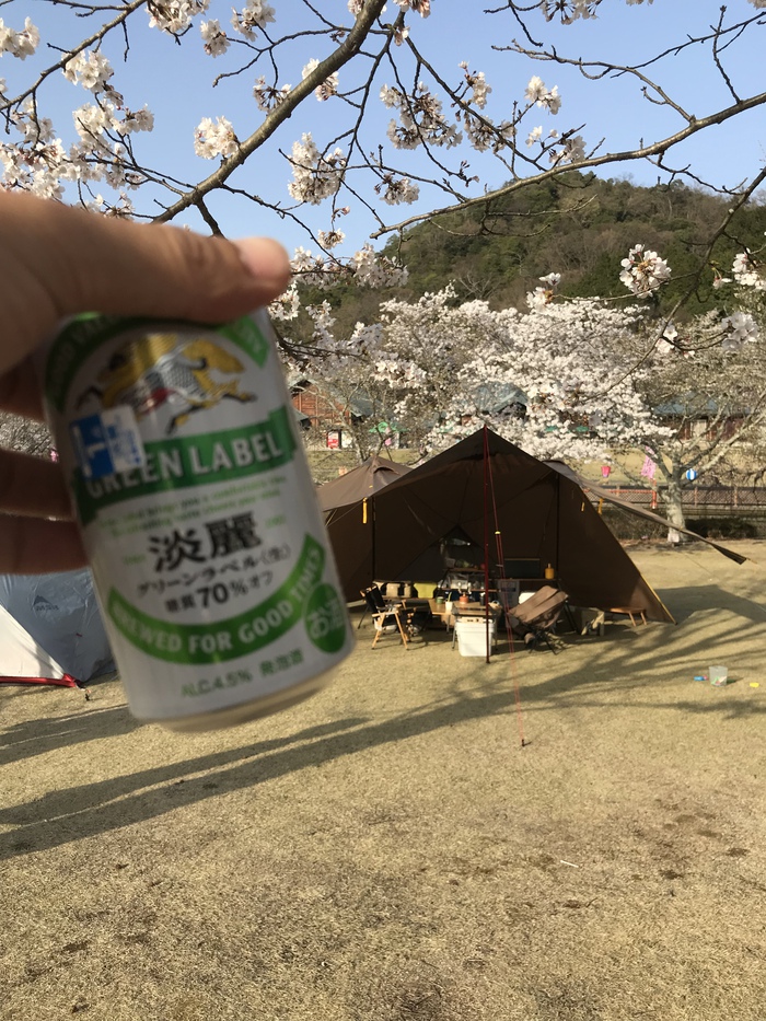 桜満開！！お花見キャンプ【妹背の里】（３月３１日～）