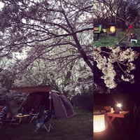 お花見キャンプは初グリーンパーク山東で♪①（４月９日～）
