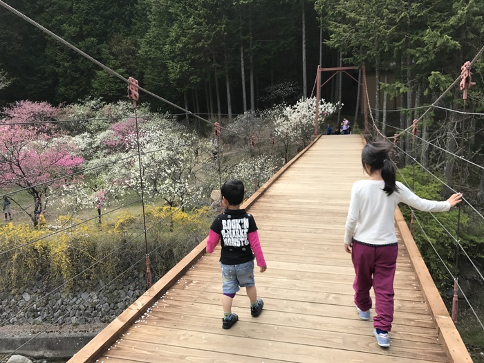 陣馬形山キャンプ場　ゴールデンウィーク