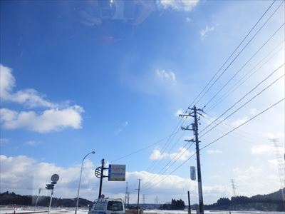 牛Day