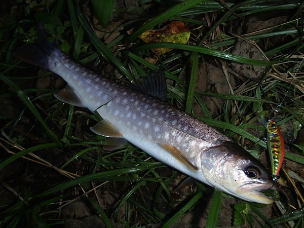 超久しぶりの釣行