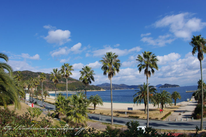 片添餅つきキャンプ2015