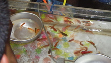 お祭り
