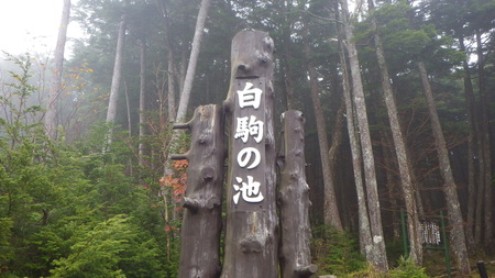 秋の八ヶ岳