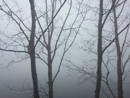 秋の八ヶ岳