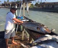 Memorial Fish 2015!!