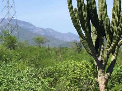BUENA VISTA !!