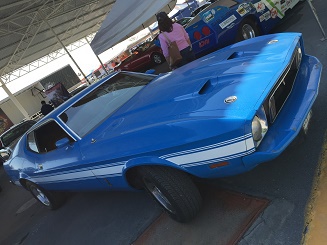 National Mustang Day